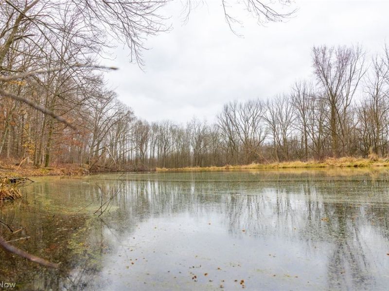 Pigeon Run Avenue SW, Navarre, OH 44662 Photo 13