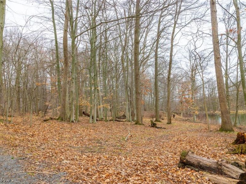 Pigeon Run Avenue SW, Navarre, OH 44662 Photo 14