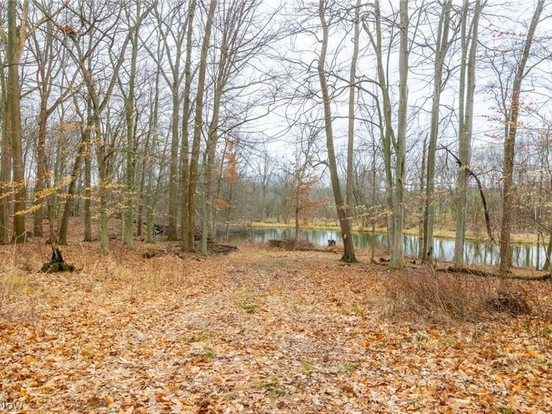 Pigeon Run Avenue SW, Navarre, OH 44662 Photo 16