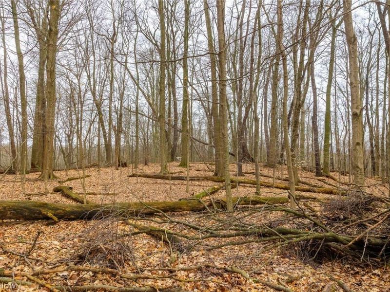 Pigeon Run Avenue SW, Navarre, OH 44662 Photo 18