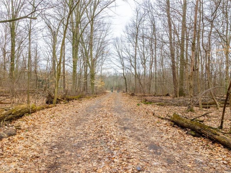 Pigeon Run Avenue SW, Navarre, OH 44662 Photo 19