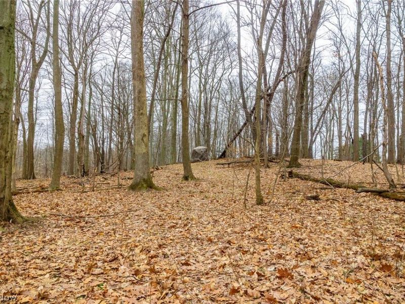 Pigeon Run Avenue SW, Navarre, OH 44662 Photo 20