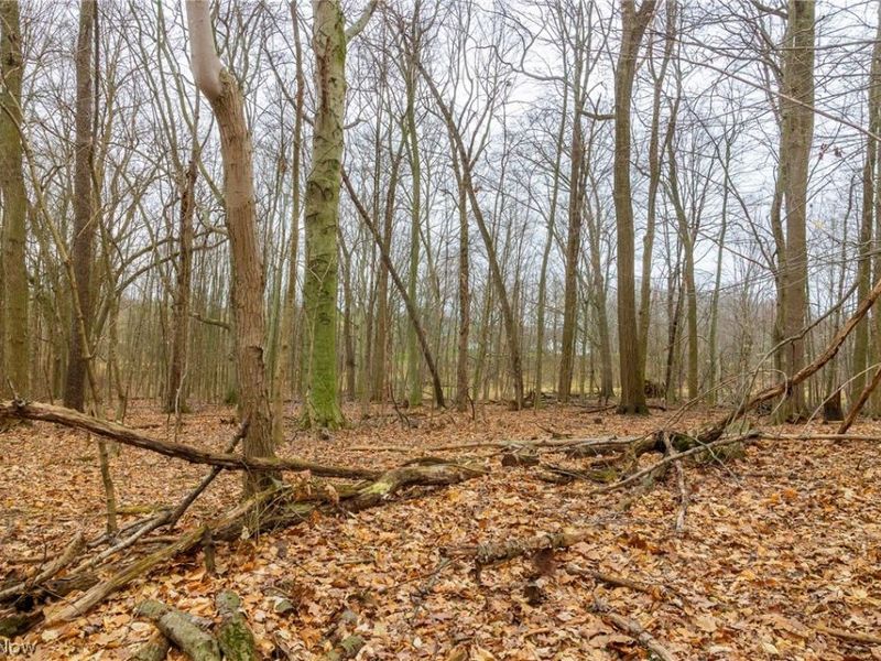 Pigeon Run Avenue SW, Navarre, OH 44662 Photo 22