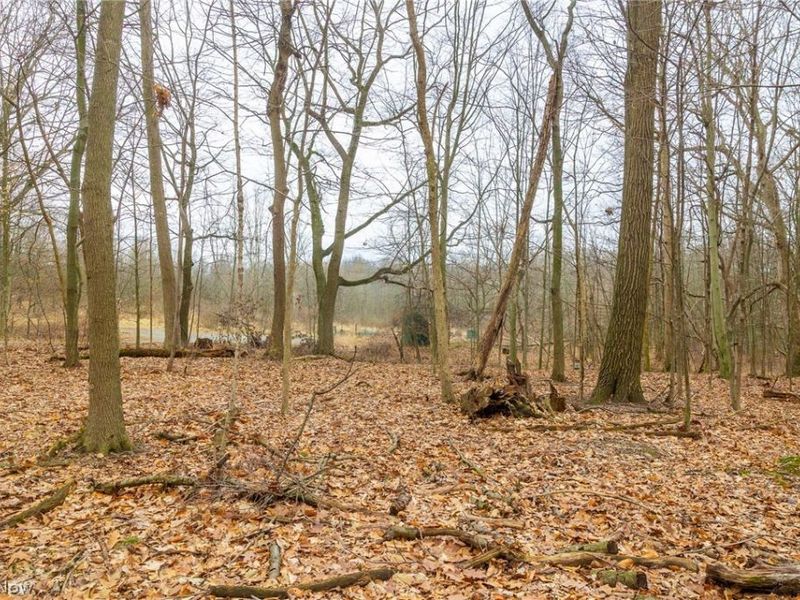 Pigeon Run Avenue SW, Navarre, OH 44662 Photo 23