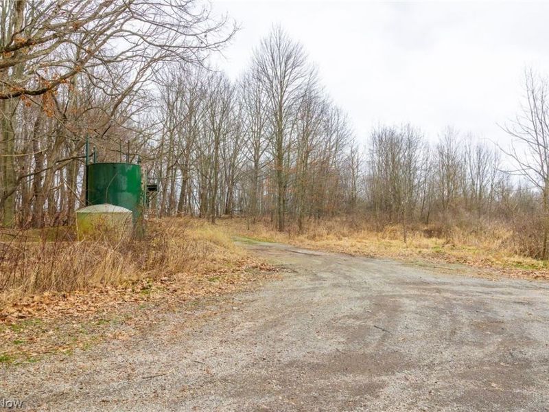 Pigeon Run Avenue SW, Navarre, OH 44662 Photo 24