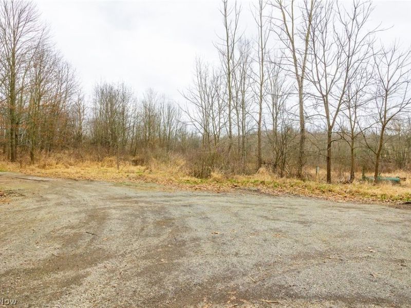 Pigeon Run Avenue SW, Navarre, OH 44662 Photo 25