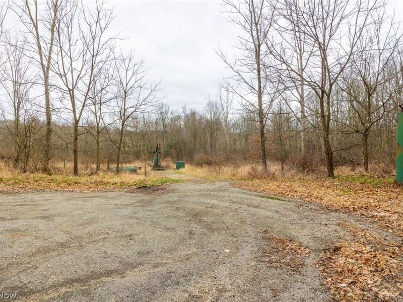 Pigeon Run Avenue SW, Navarre, OH 44662 Photo 26