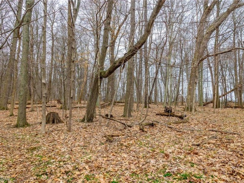 Pigeon Run Avenue SW, Navarre, OH 44662 Photo 28