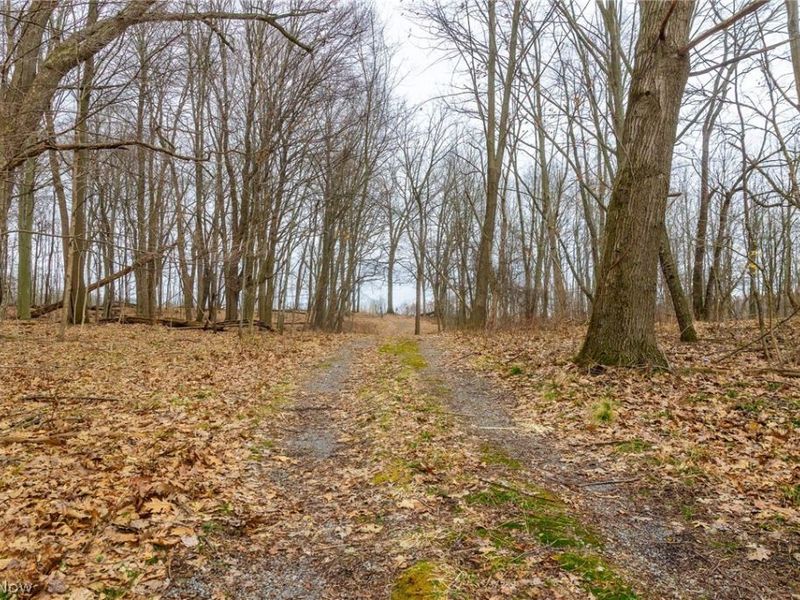Pigeon Run Avenue SW, Navarre, OH 44662 Photo 29