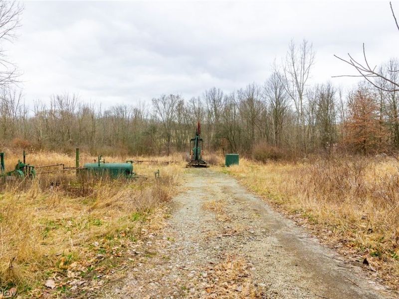 Pigeon Run Avenue SW, Navarre, OH 44662 Photo 30