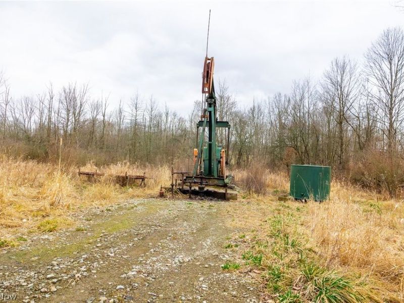 Pigeon Run Avenue SW, Navarre, OH 44662 Photo 31