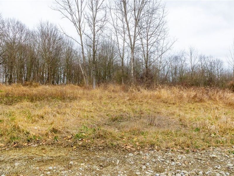 Pigeon Run Avenue SW, Navarre, OH 44662 Photo 32