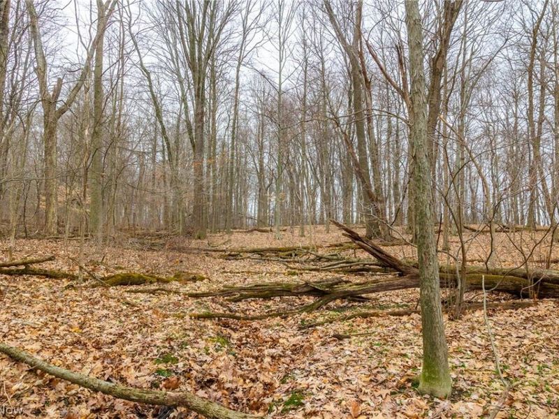 Pigeon Run Avenue SW, Navarre, OH 44662 Photo 33