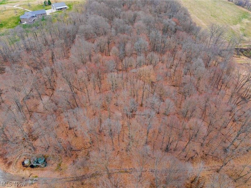 Pigeon Run Avenue SW, Navarre, OH 44662 Photo 40