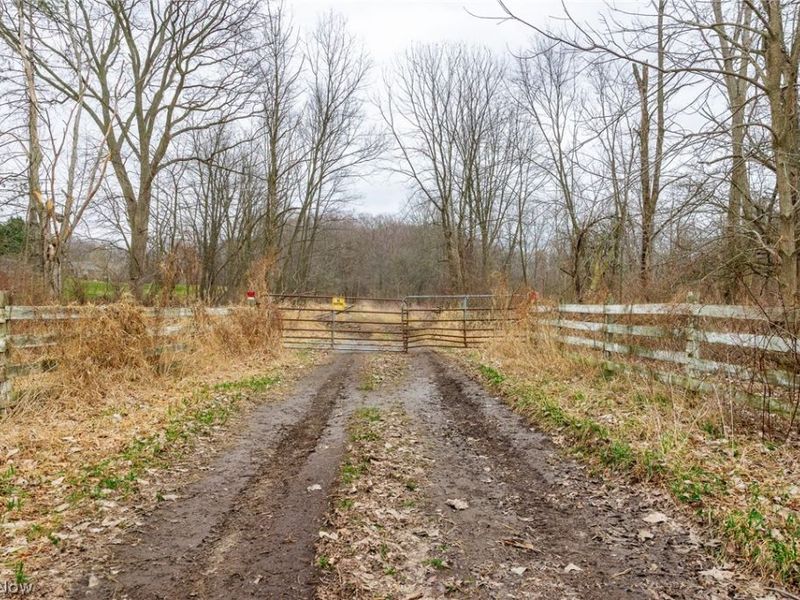 Pigeon Run Avenue SW, Navarre, OH 44662 Photo 5