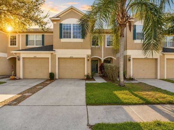 2733 CONCH HOLLOW DRIVE, BRANDON, FL 33511