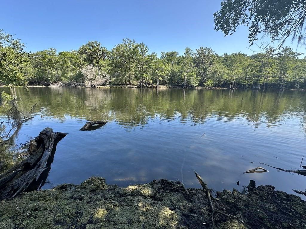 2410 NW 117th Pl, Branford, FL 32008 Photo