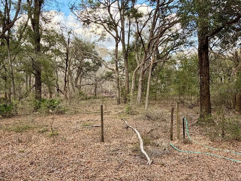 2410 NW 117th Pl, Branford, FL 32008 Photo