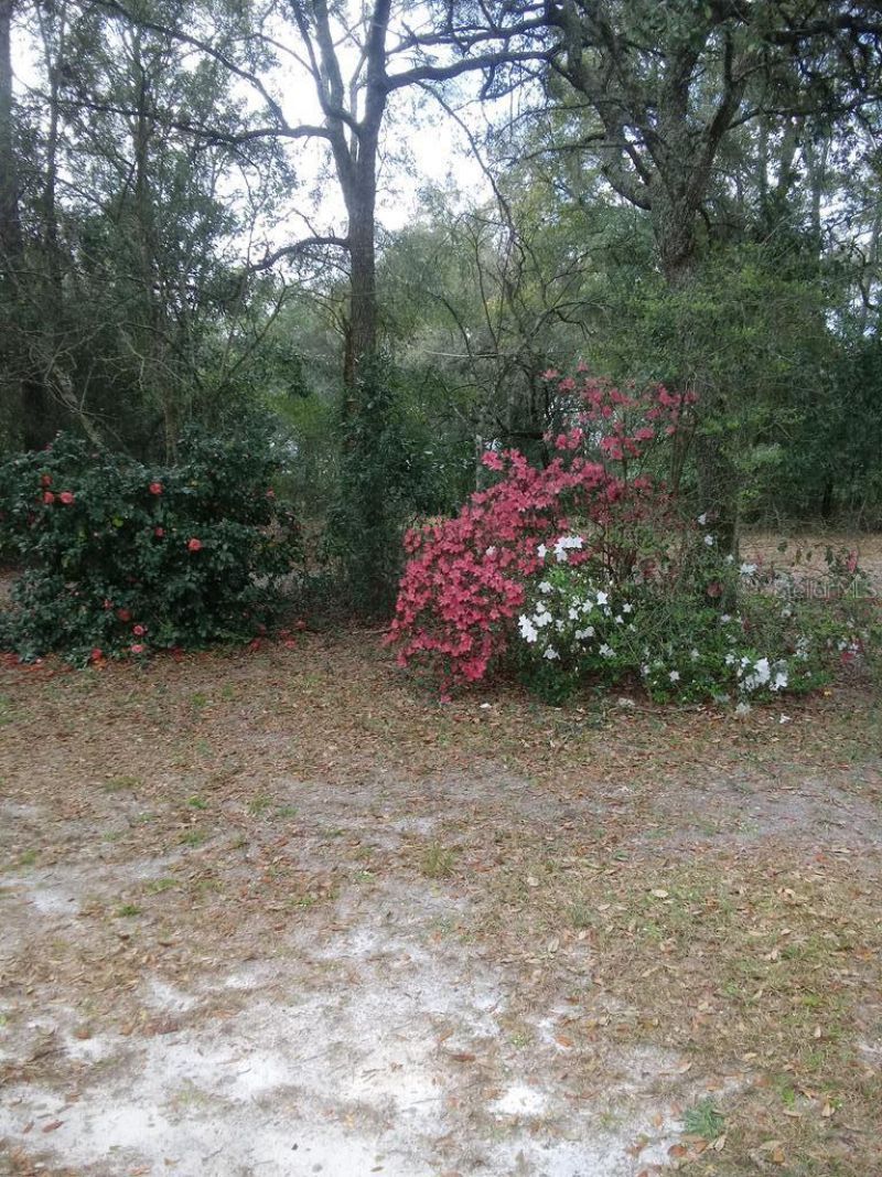 2410 NW 117th Pl, Branford, FL 32008 Photo