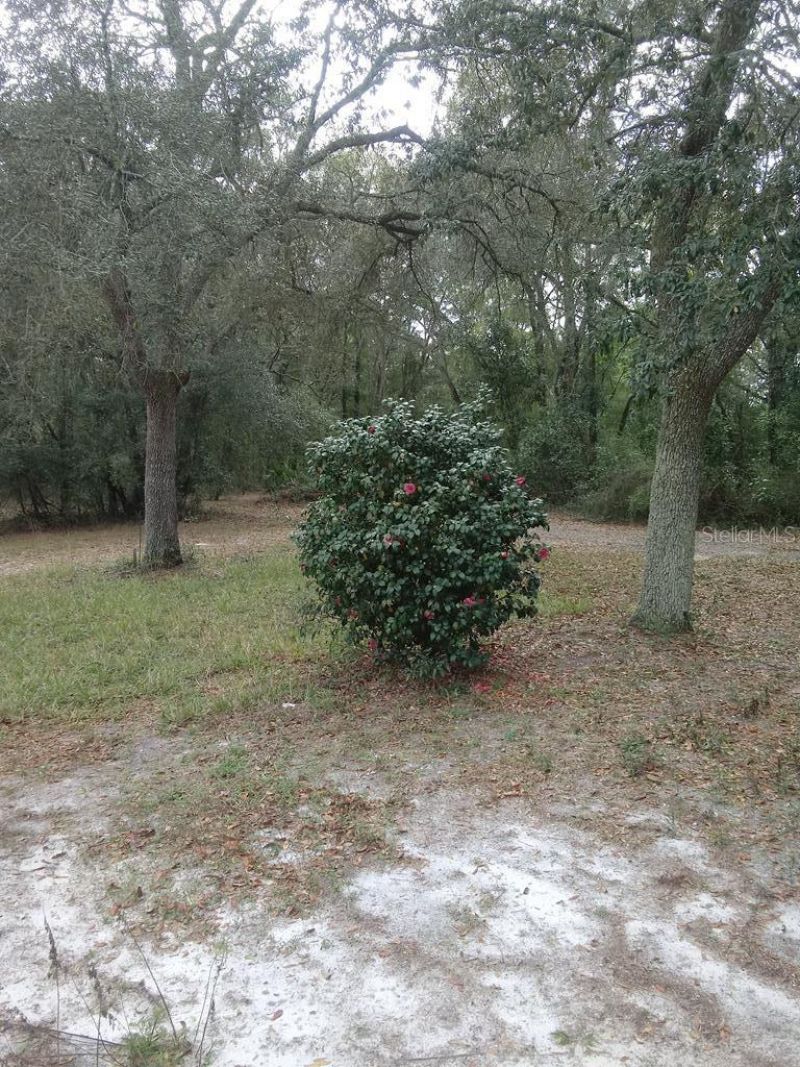 2410 NW 117th Pl , Branford, FL 32008 Photo