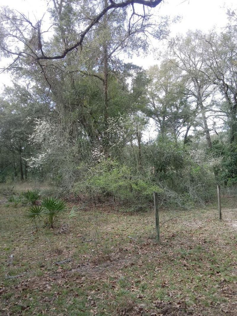 2410 NW 117th Pl, Branford, FL 32008 Photo