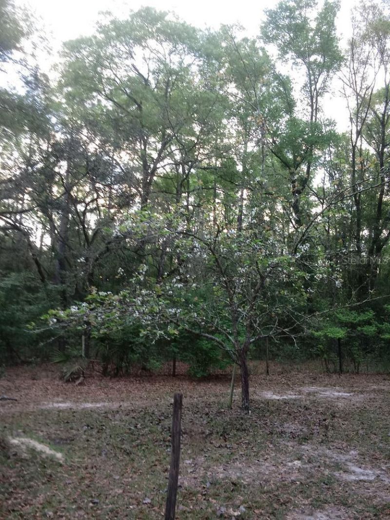 2410 NW 117th Pl, Branford, FL 32008 Photo