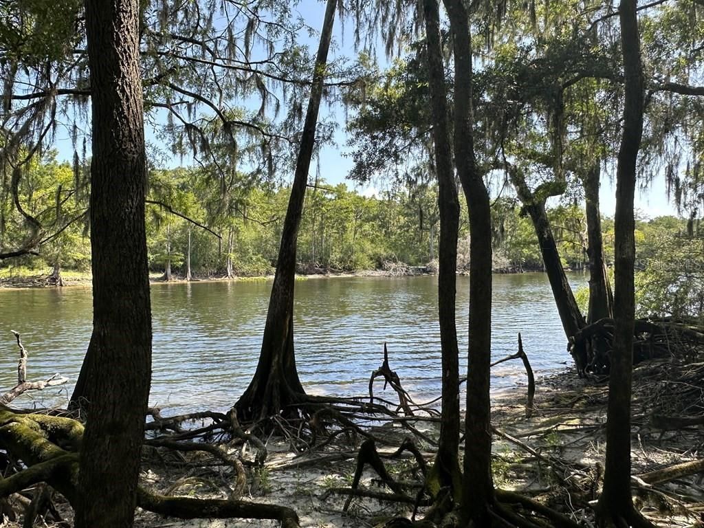 2410 NW 117th Pl , Branford, FL 32008 Photo