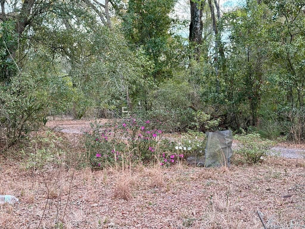 2410 NW 117th Pl, Branford, FL 32008 Photo