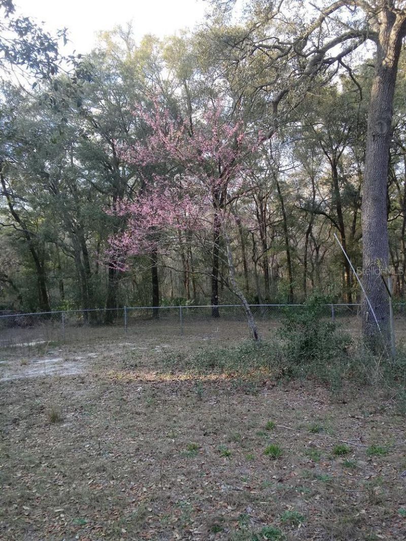 2410 NW 117th Pl, Branford, FL 32008 Photo