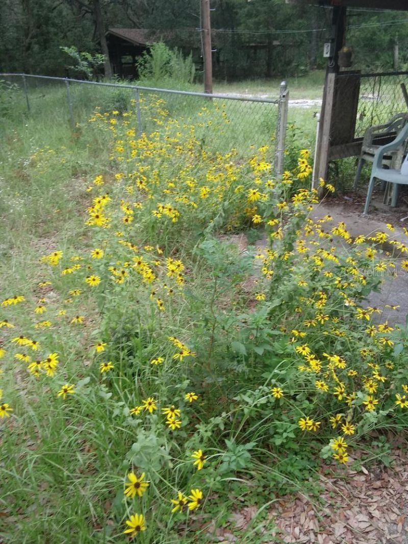 2410 NW 117th Pl , Branford, FL 32008 Photo