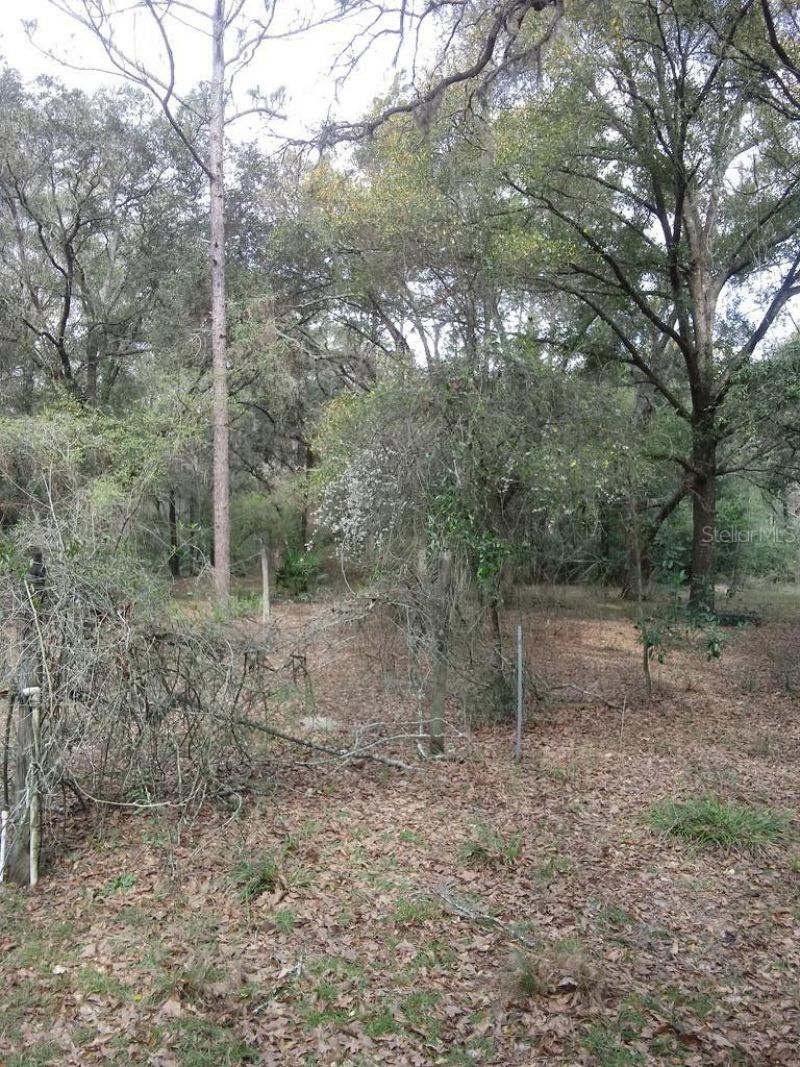 2410 NW 117th Pl, Branford, FL 32008 Photo