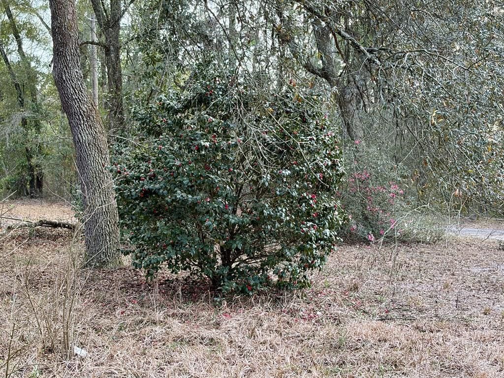 2410 NW 117th Pl , Branford, FL 32008 Photo