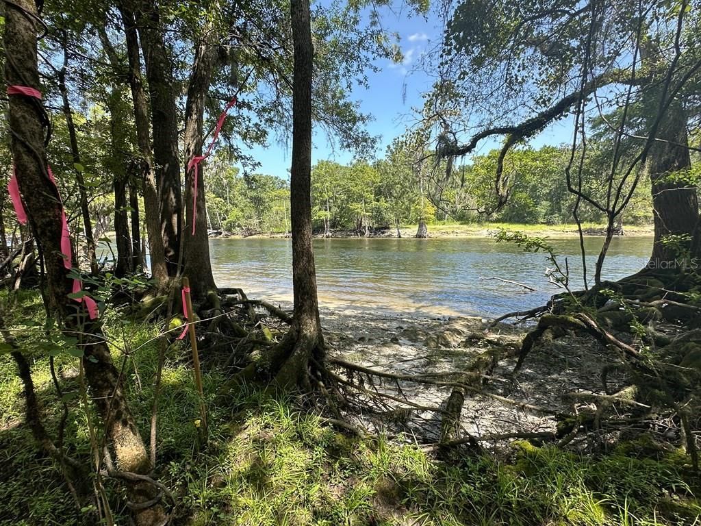 2410 NW 117th Pl , Branford, FL 32008 Photo