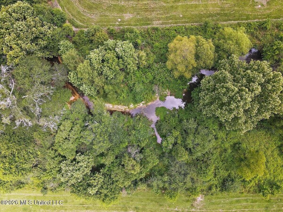 Property Image 46