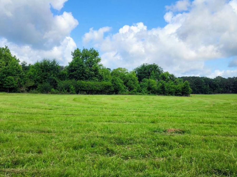 Property Image 56