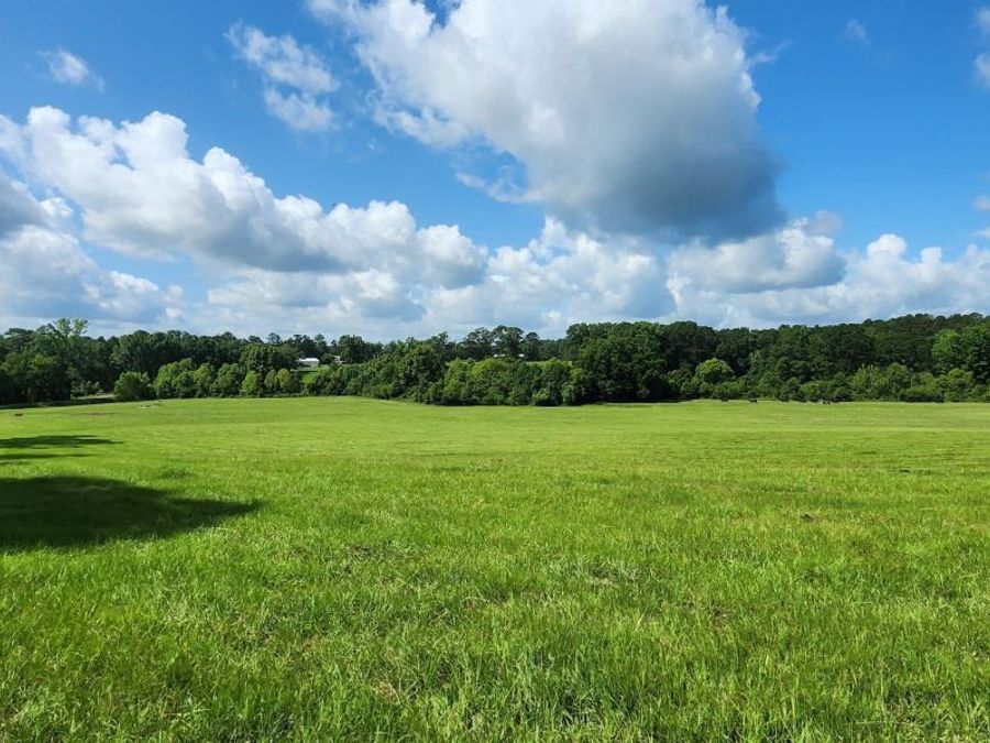 Property Image 75