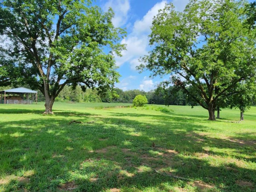 Property Image 77