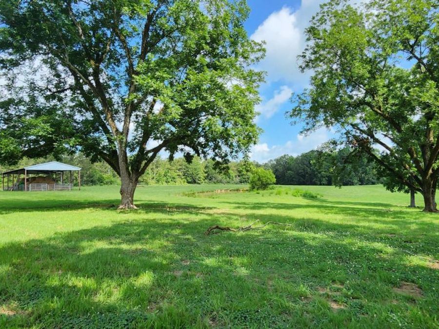 Property Image 78