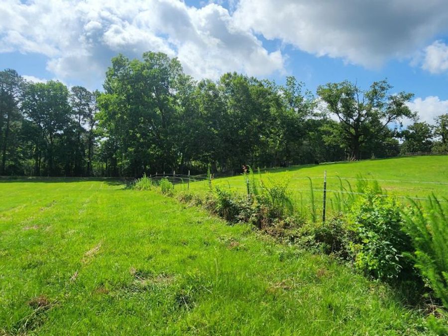 Property Image 83