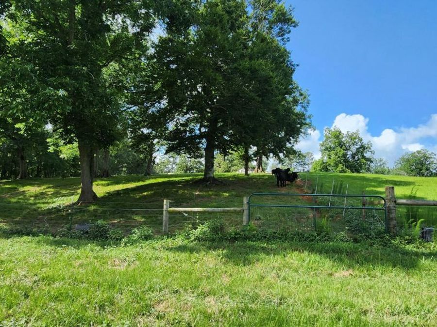 Property Image 84