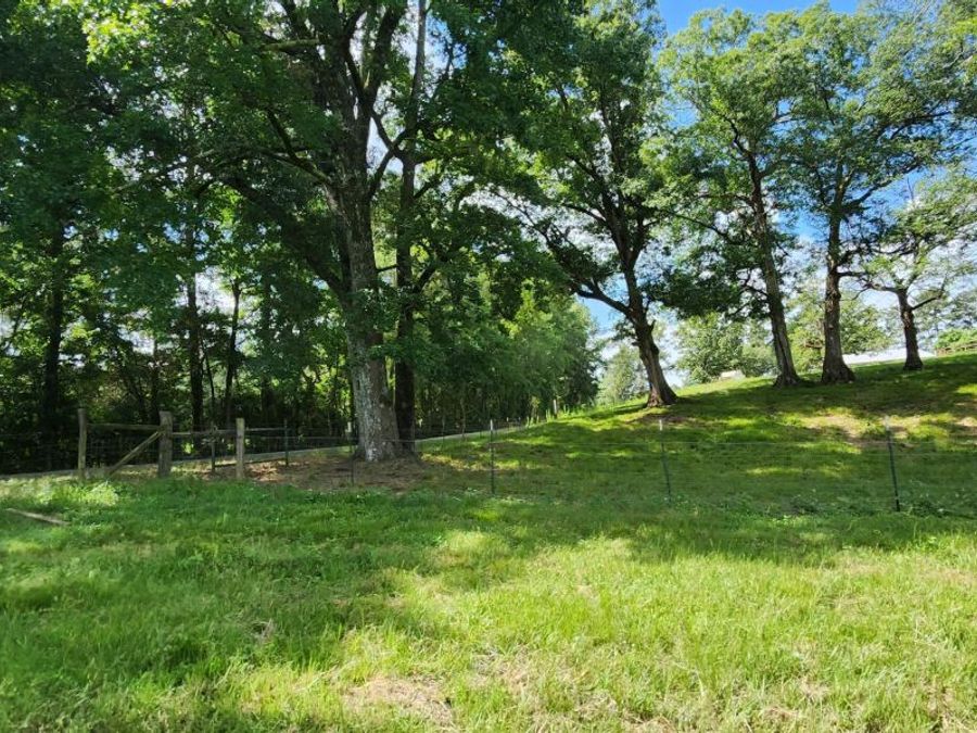 Property Image 85