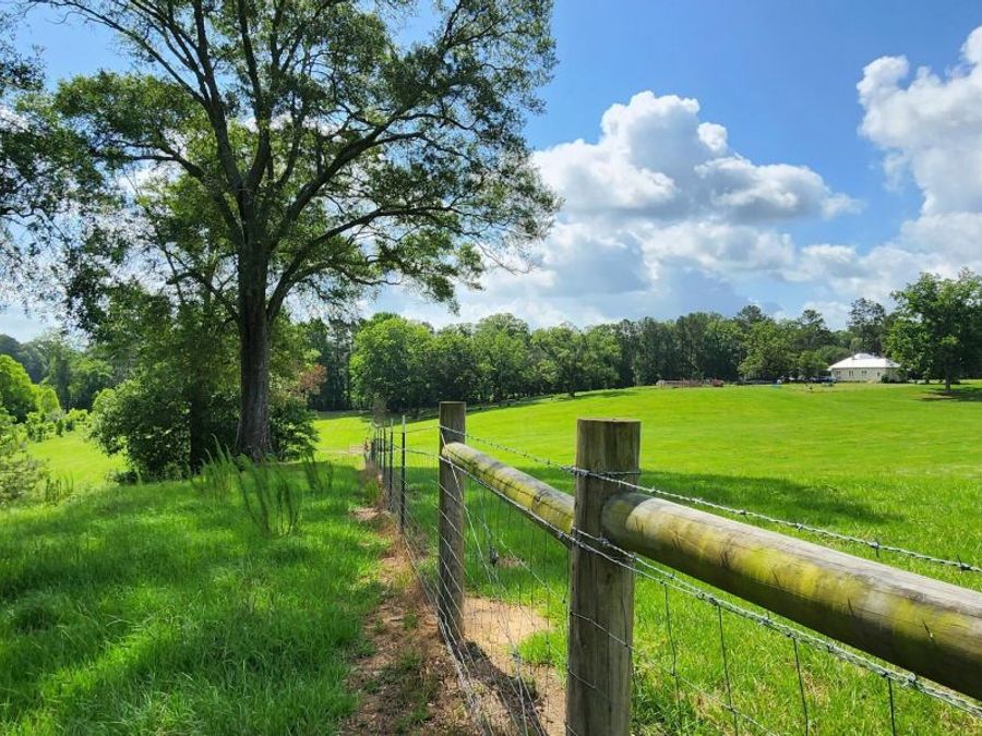 Property Image 90