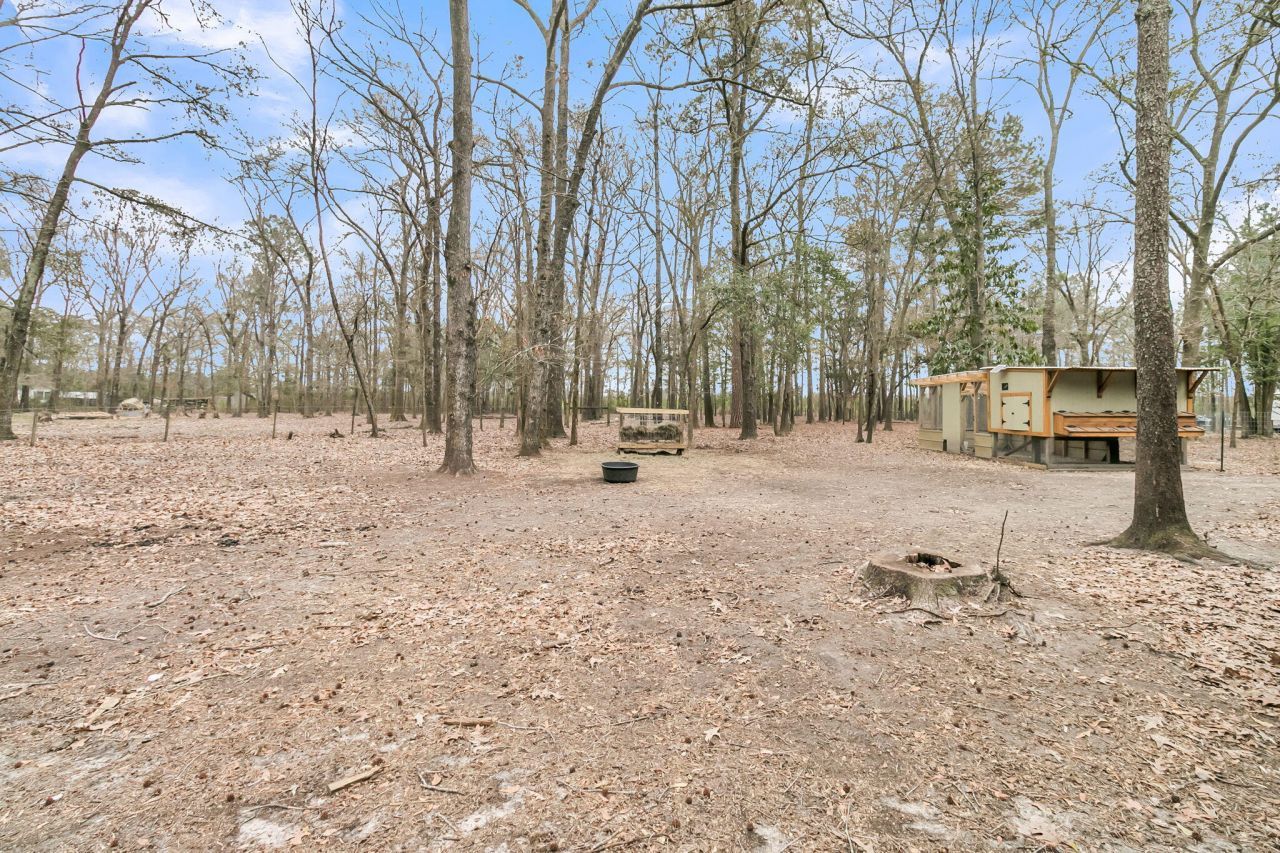 7769 Old Jacksonboro Road Photo 36