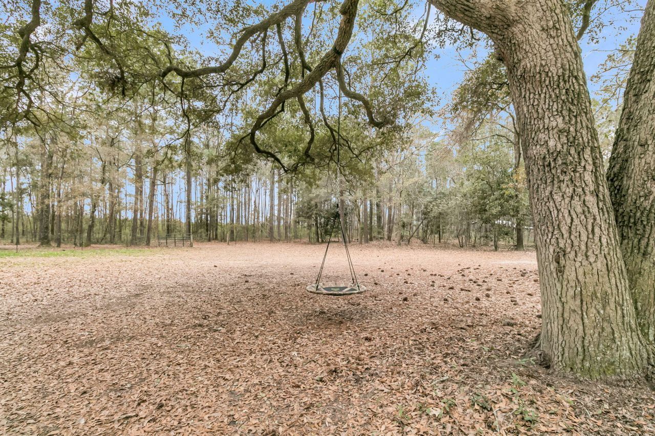 7769 Old Jacksonboro Road Photo 39