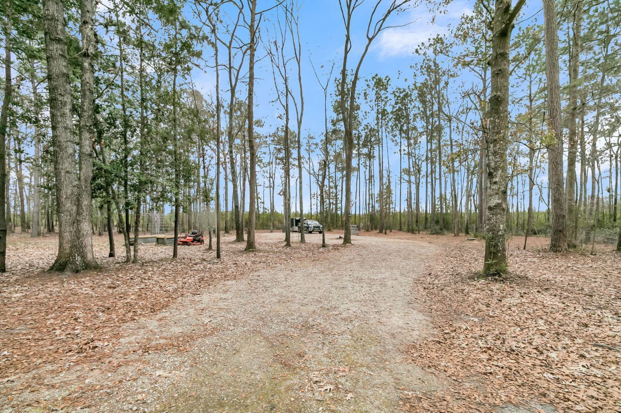 7769 Old Jacksonboro Road Photo 43