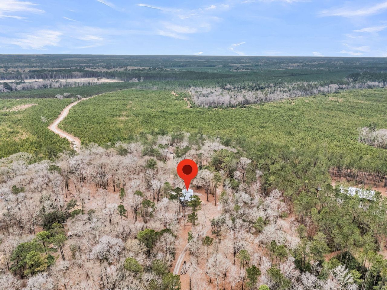 7769 Old Jacksonboro Road Photo 46