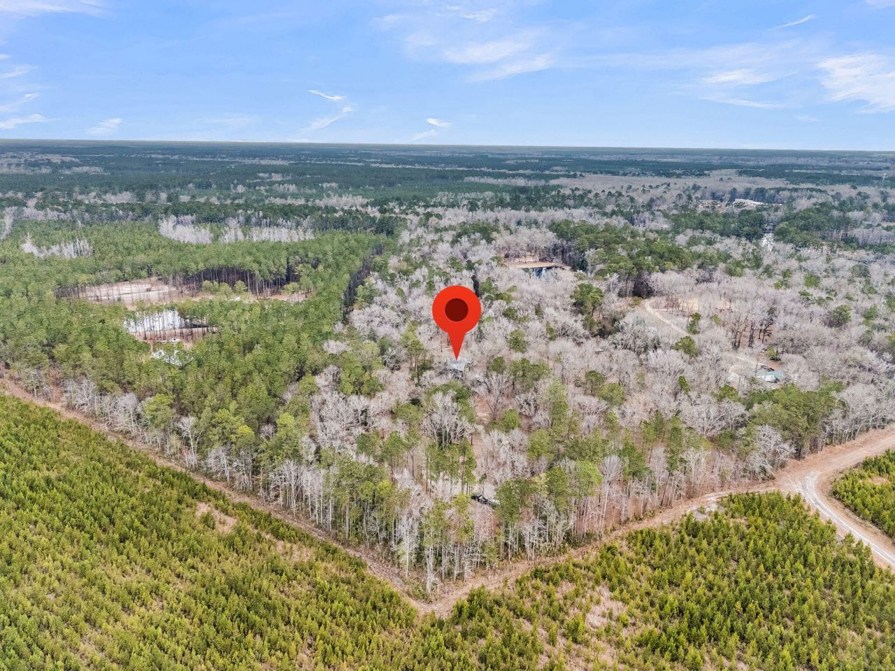 7769 Old Jacksonboro Road Photo 47