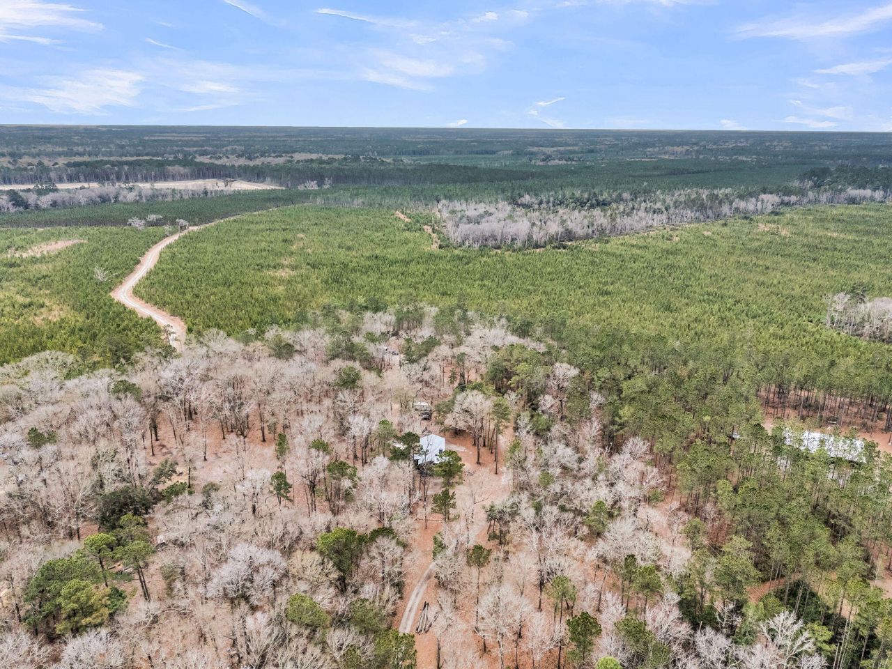 7769 Old Jacksonboro Road Photo 49