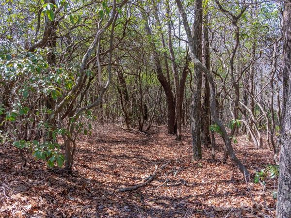 Lot 14 Lakeside Drive , Lake Toxaway, NC 28747