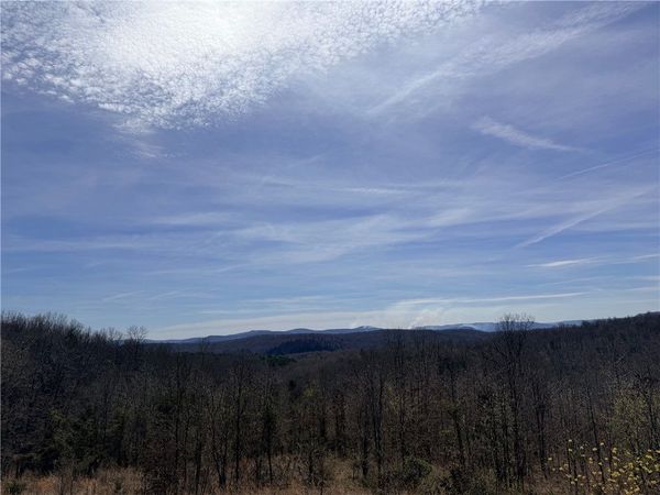 000 Able Drive, St Joe, AR 72675